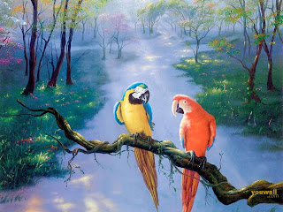 Parrot Wallpaper