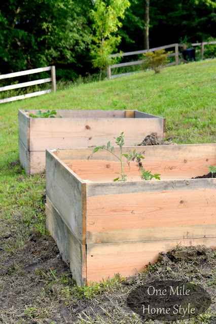 Hillside Garden Boxes - Raised bed gardening on a hill