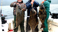 Halibut Fishing In Alaska