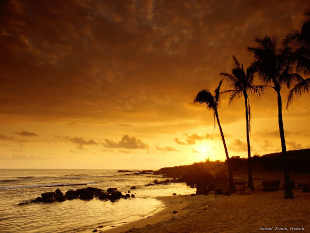 Sunset on beach wallpaper