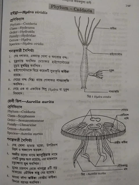 Biology 2nd paper practical HSC 2023, HSC 2023 Biology 2nd paper practical solution pdf, HSC 2023 Biology 2nd paper practical pdf