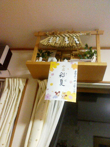 ハセガワアツシのエゾノギシギシ用
