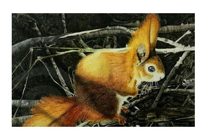 detailed painting of a red squirrel