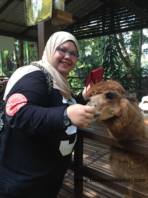 KL Tower Mini Zoo