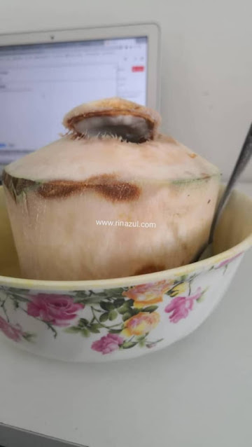 kelapa bakar ikhtiar hamil