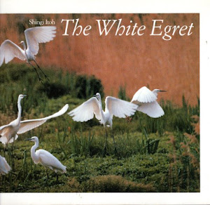 White Egret