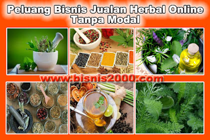 Peluang Bisnis Jualan Herbal Online Tanpa Modal