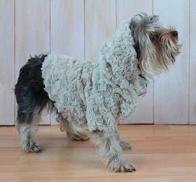 Milú chaqueta de paseo gris con capucha