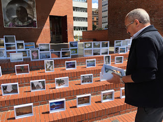 Barakaldo Foto festival Baffest