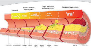 biomedical engineering journals