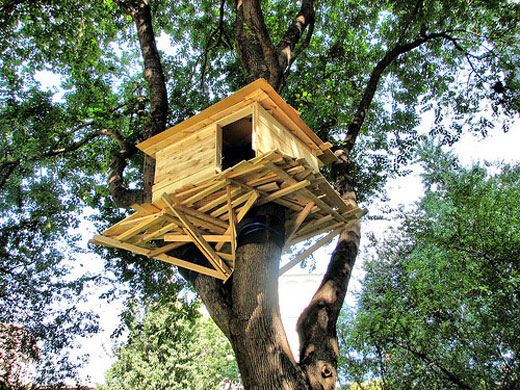 BeerBroad: My First Treehouse