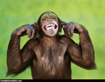 Funny animals laughing pictures