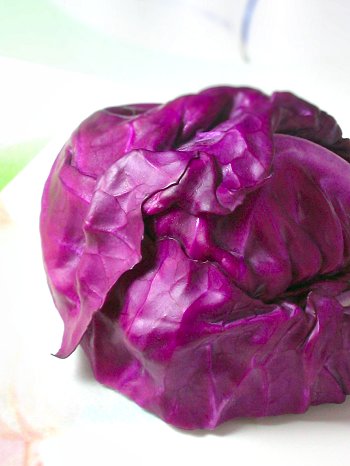 Purple cabbage