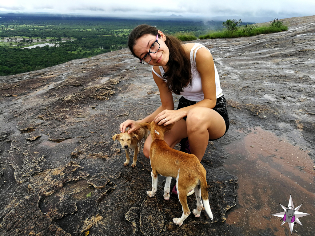 7.15. Lankijska relacja: dzień trzynasty - Sigiriya, Pidurangala, ogród przypraw.