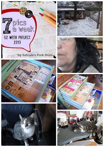 7 foto 7settimana