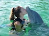 110 Amazing Facts About Dolphins: Intelligent Marine Mammals