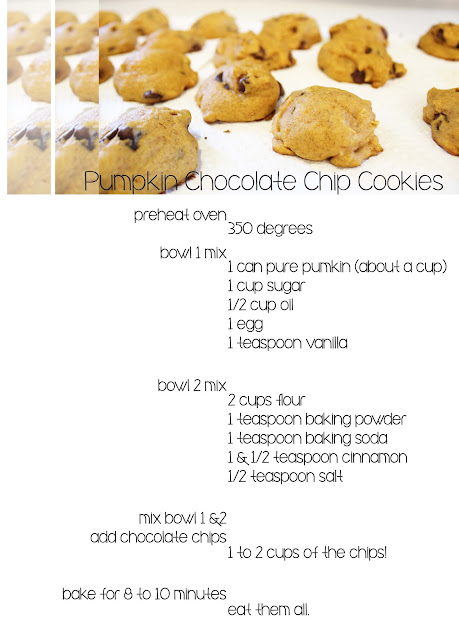 pumkin chocolate chip cookies at aruffledlife.com