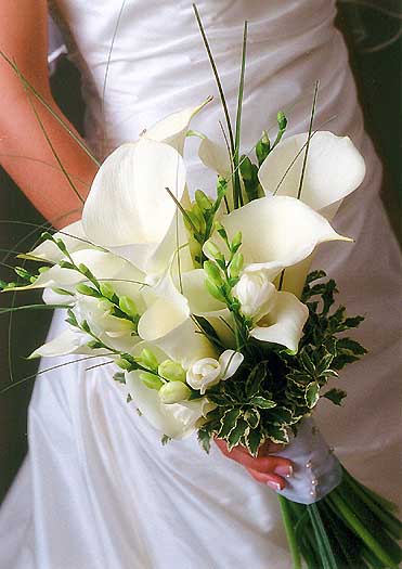 Do You Knows The Meaning of Popular Wedding Flowers