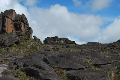 Plateau Roraima