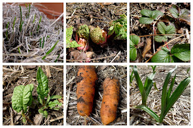 urban farming