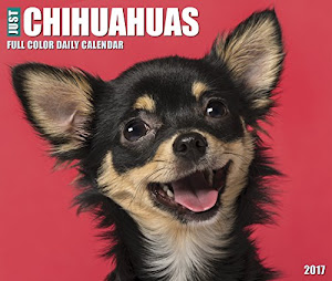 Just Chihuahuas 2017 Box Calendar (Dog Breed Calendars)