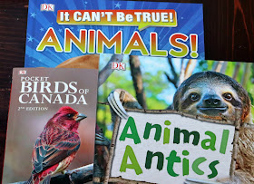 animal antics book