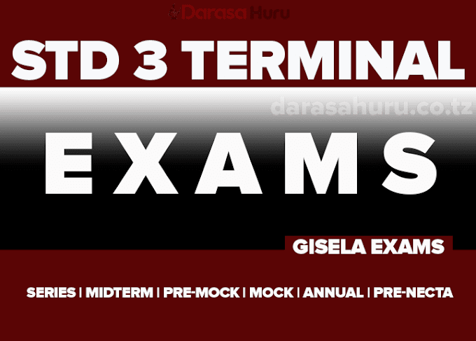 Standard Three Terminal Exams & Answers (GISELA Exams) Free Download Primary School Exams