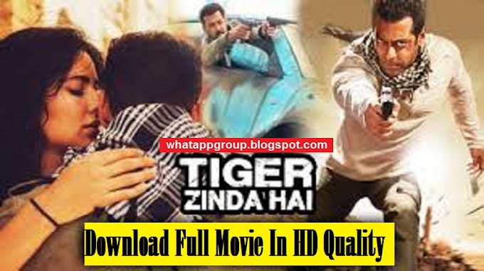Tiger Zinda Hai Watch and Download Full HD Movie Online