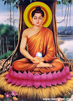 The Lord Sakyamuni Buddha slideshow