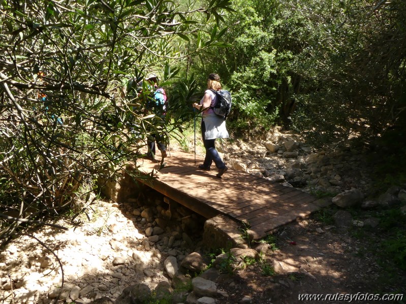 Estación de Cortes - Estación de Benaoján por el sendero del río Guadiaro