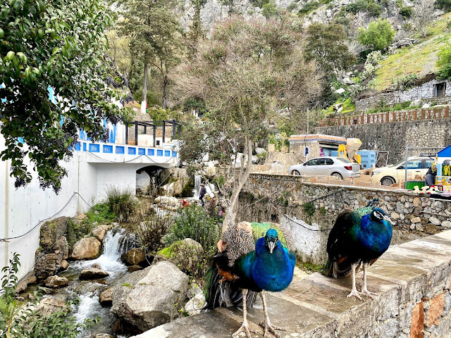 Ras El-Maa, Chefchaouen, Morocco 🇲🇦