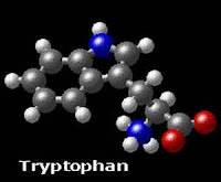 Apa Itu Zat Tryptophan Pada Buah Pisang