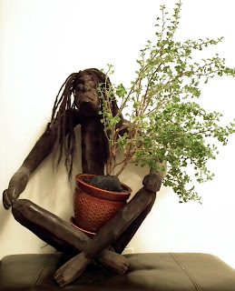 Asmat handcarved wood statue with Prince of Orange plant