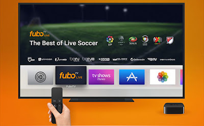 Brighton & Hove Albion vs Watford Live Streaming Free SPAIN COPA DEL REY  Soccer 4k tv