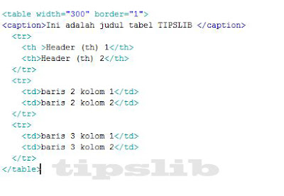 Contoh Rowspan Html - Contoh Sur