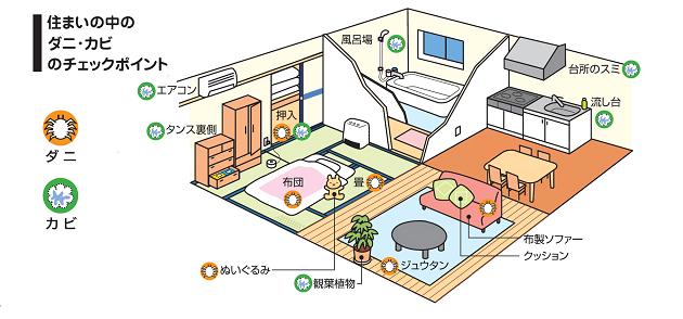 【第2回木の家健康コラム】住まいのどこに発生しやすいんだろうカビとダニ