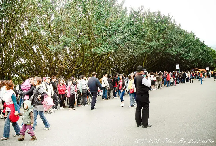 台北陽明山國家公園花季