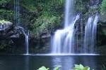 Maui Waterfalls