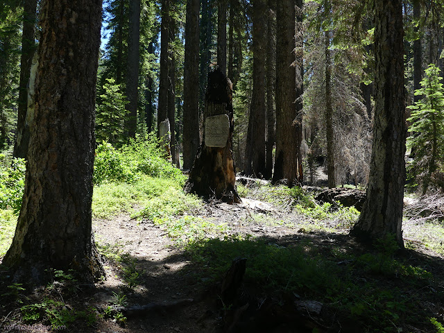 wilderness sign