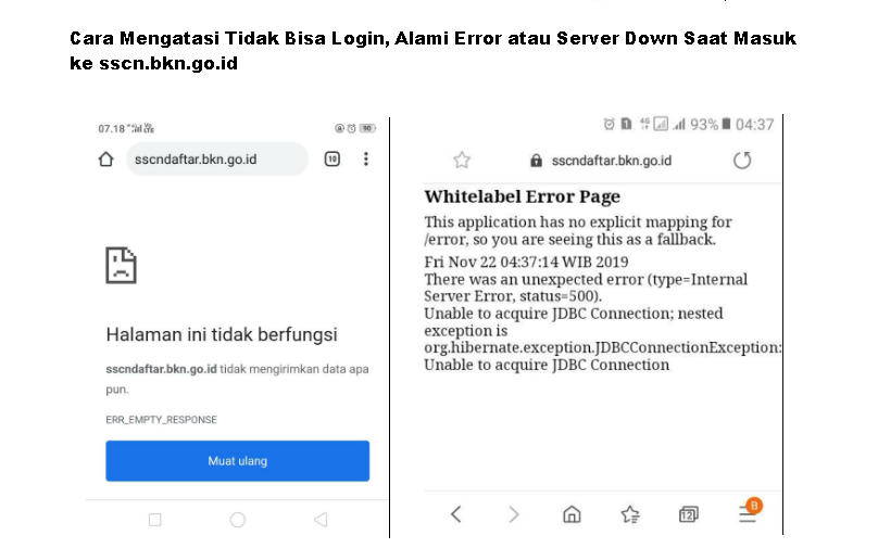 Cara Mengatasi Tidak Bisa Login, Alami Error atau Server Down Saat Masuk ke sscn.bkn.go.id