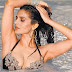 Amisha Patel Bikini Photos