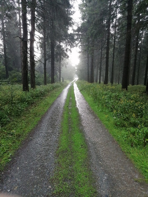 Sauerland wandern Wetter blog Schmallenberg Hunau X10 Wilhelm-Münker-Weg X25 Hunauweg Höhenflug