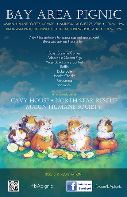 Bay Area Pignic 2016 Guinea Pig Rescue Fundraiser