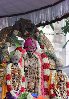 Sri Parthasarathy Perumal, Dhavana Utsavam, Thirumanjanam, Purappadu,  Triplicane,  Purappadu, Thiruvallikeni, Utsavam, 