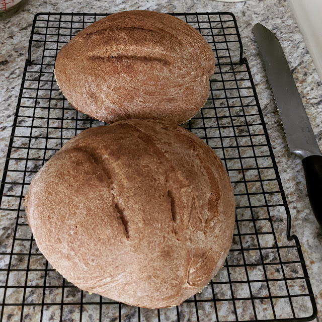 two sourdough loaves fresh from the oven