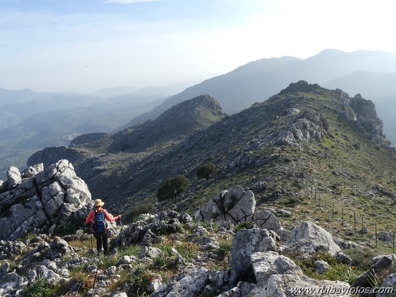 Montejaque - Ventana - Tunio - Palo - Martin Gil - Arenitas - Cortes de la Frontera