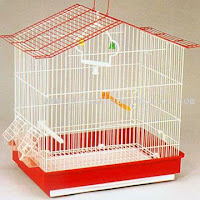 Bird Cage Pictures