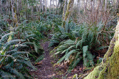 Hoypus Point, Deception Pass State Park