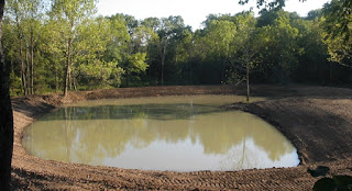 pond-in-mihijam-dumka