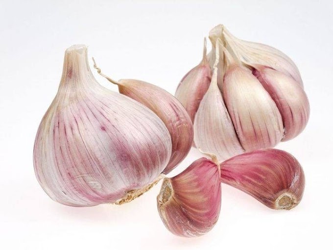 Garlic: 11 secrets you don’t know yet